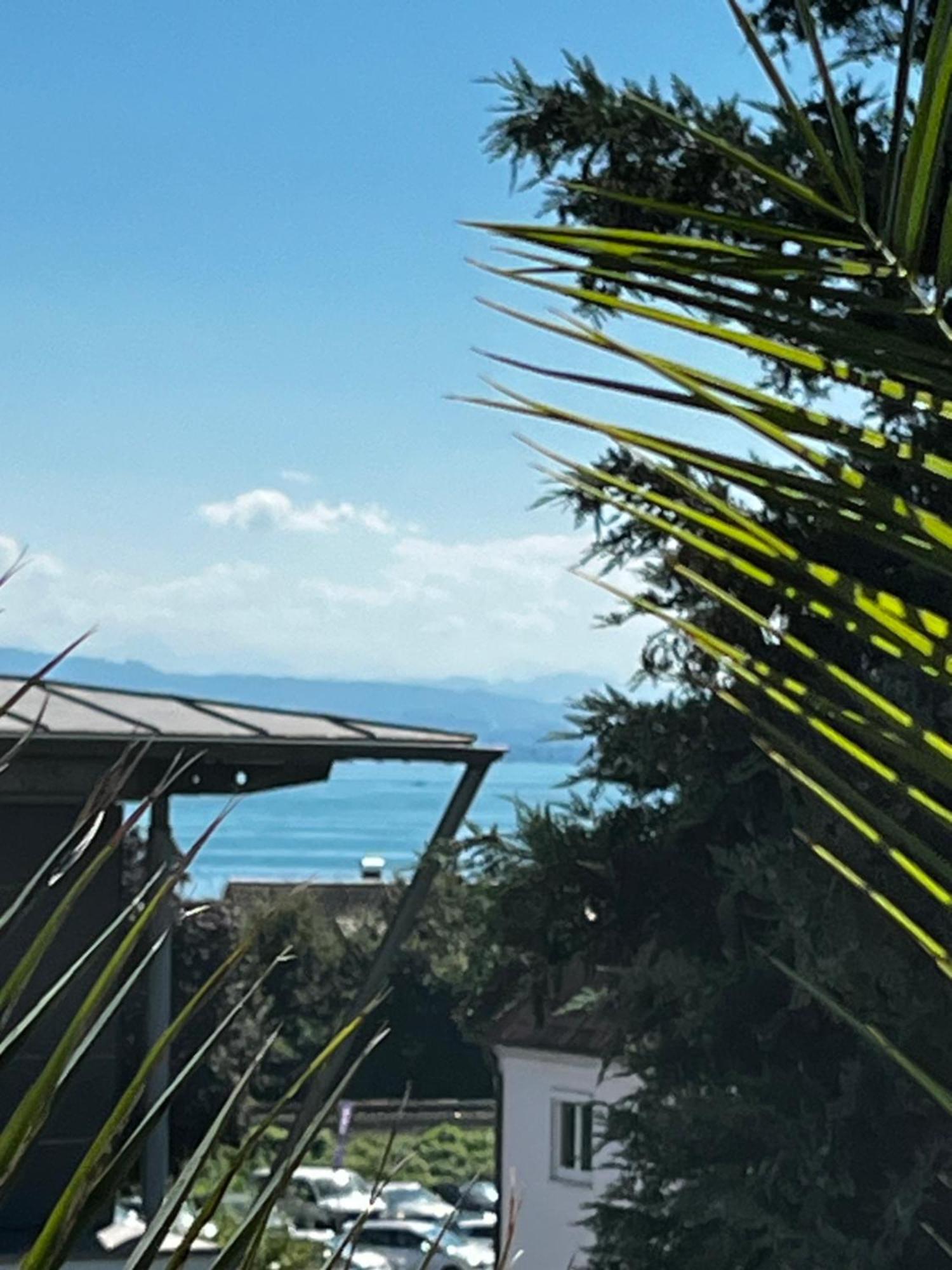 Traumhafte Ferienwohnung Mit See Und Bergsicht ฟรีดริชส์ฮาเฟน ภายนอก รูปภาพ